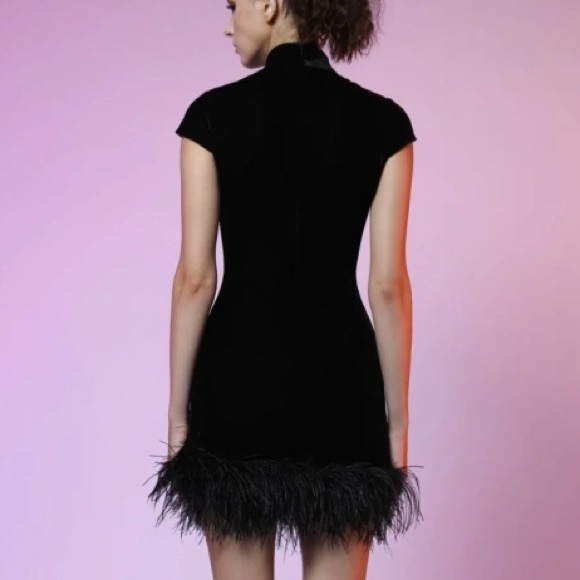 SAU LEE | NWT! Women's Morgan Feather-trimmed Minidress In Black - Picture 3 of 8